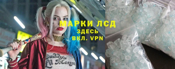 стаф Арсеньев
