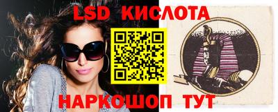 гидра Ставрополь