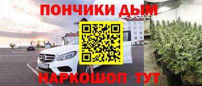 гидра Ставрополь