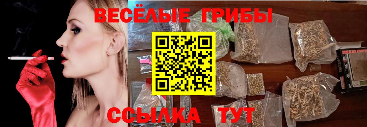 Метамфетамин  Сибай  Кокаин  Alpha-PVP СК кристаллы  Каннабис  Вход с VPN  Меф МЯУ МЯУ кристаллы  ГАШ  LSD-25 